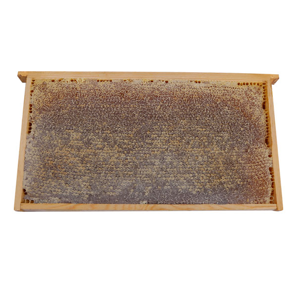 Oflaz Çıta Petek Bal 2200g ile 2400g arası