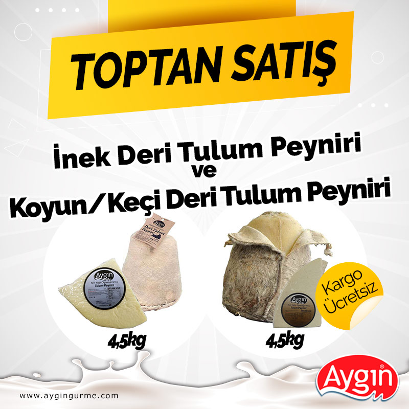 İnek Tulum - Koyun/Keçi Tulum Peynir ***Kampanyası 9 kg