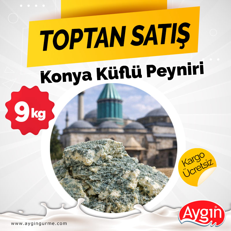 Konya Yeşil Küflü Peyniri ***Kampanyası - 9 kg
